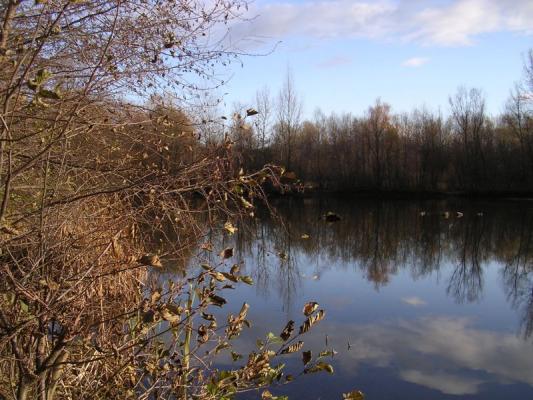 Laguna II. Přerov